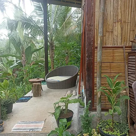 Jungle Hous Hotel